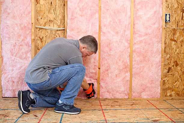Professional Insulation Contractor in Parkers Prairie, MN